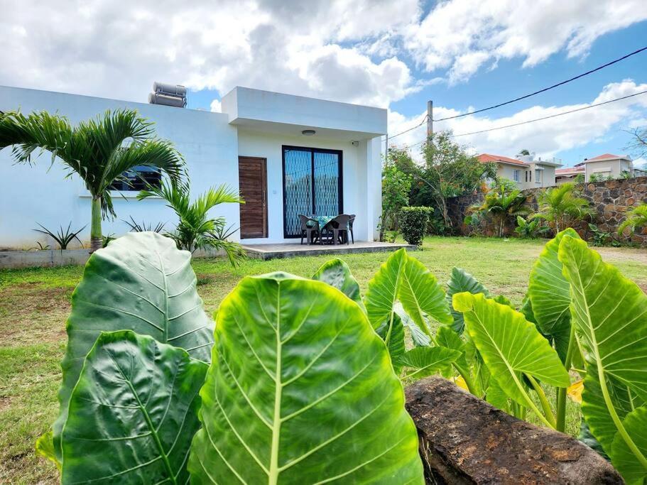 La Maison D'Isa Albion Dış mekan fotoğraf
